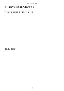 5．企業の資源配分と労働需要 - So
