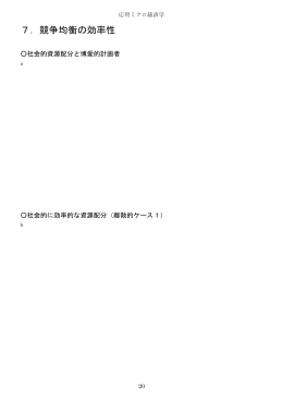 7．競争均衡の効率性 - So