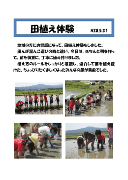 田植え体験（PDF：108KB）