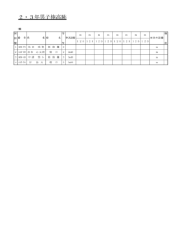 2.3年棒高跳