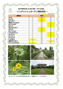ガーデン開花状況