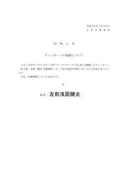 病名：左前浅屈腱炎