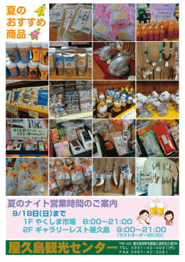 PDF形式