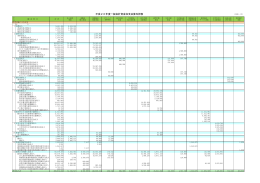 平成26年度一般会計資金収支決算内訳表