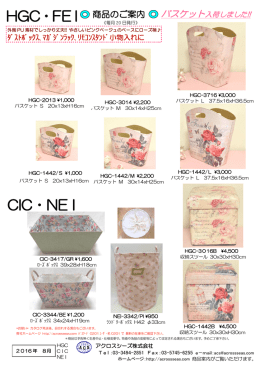 HGC・FE I CIC・NE I