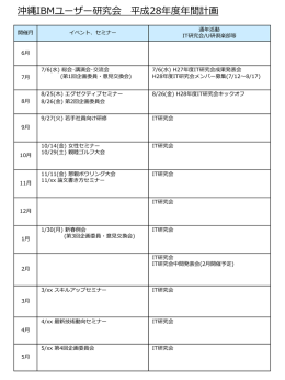 H28 沖縄研 年間計画