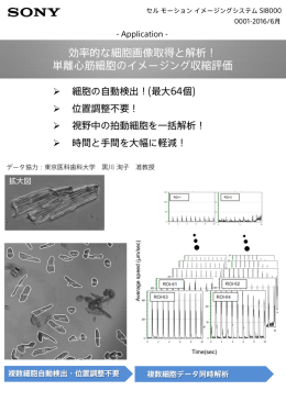 薬剤添加による収縮性変化の評価例