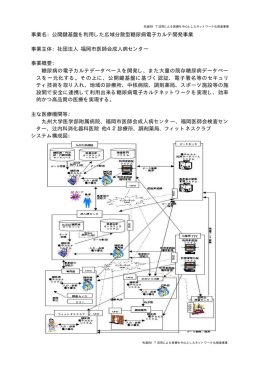 事業名：公開鍵基盤を利用した広域分散型糖尿病電子カルテ開発事業