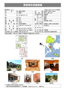 詳細 [PDFファイル／596KB]