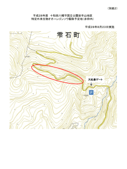 PowerPoint プレゼンテーション