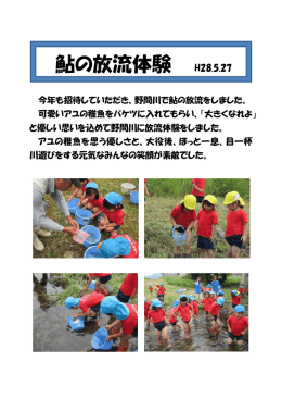 鮎の放流体験（PDF：108KB）