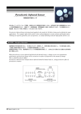 Pyroelectric Infrared Sensor