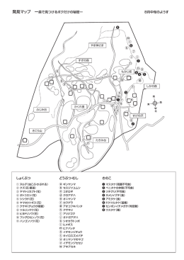 発見マップ ー森で見つけるボクだけの秘密ー 8月中