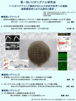 掲示ポスター - 神戸大学バイオシグナル総合研究センター
