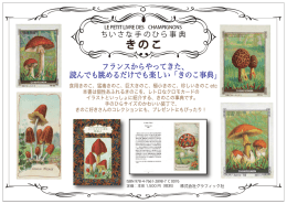 きのこ - グラフィック社