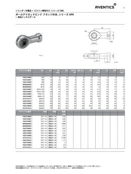 ボールアイロッドエンド フランジ付き, シリーズ AP6