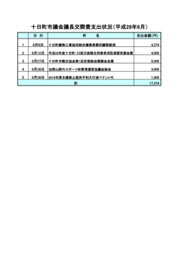 十日町市議会議長交際費支出状況（平成28年6月）