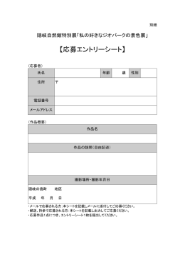 エントリーシート(PDF文書)