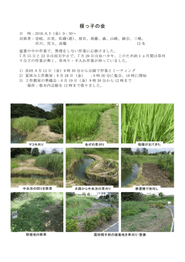 根っ子の会 - 根木内歴史公園サポーター