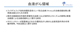 血液がん領域（PDF:161KB）