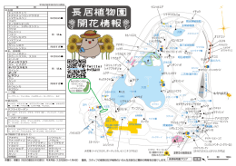 Page 1 メタセコイア スイレン （フェンネル、ラベンダー、ローズマリーなど