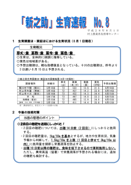 草丈：並 茎数：並 葉令：並 葉色：並