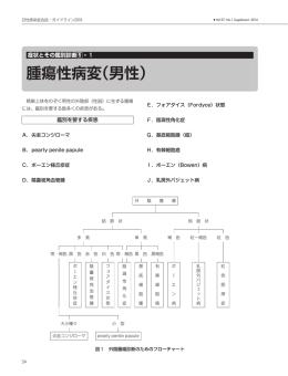 1－5－1. 腫瘍性病変（男性）