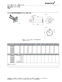 ISO 15552, シリーズ ICL クレビス取付用の非回転式アクスル AB6, AA6