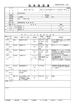 技 術 経 歴 書