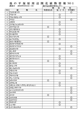 池 の 平 湿 原 周 辺 開 花 植 物 情 報 NO 1