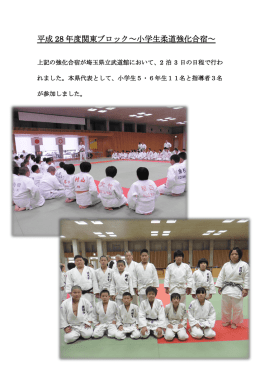 平成 28 年度関東ブロック～小学生柔道強化合宿～
