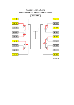平成28年度 5年生強化育成大会 本 宿 九 小 小 柳 南 町 四 谷 南 白