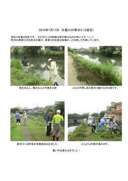 2016年7月17日 水尾川の草刈り（2回目）