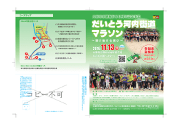 だいとう河内街道 マラソン