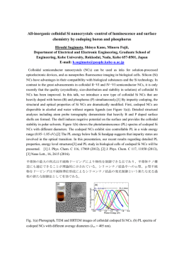 ホウ素同時ドーピングによる発光特性及び表面状態制御