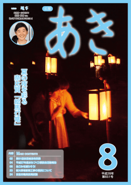 夏の夜を彩る 奈比賀﹁絵馬灯篭﹂