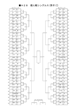 H28 個人戦シングルス(男子)①