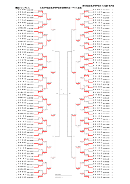 第106回全国高等学校テニス選手権大会 男子シングルス 平成28年度