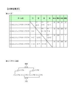 結果詳細（PDF：53KB）