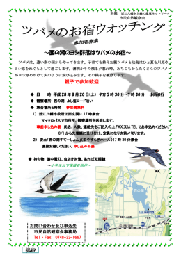 ～西の湖のヨシ群落はツバメのお宿～