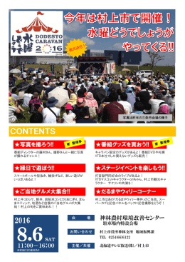 どうでしょうキャラバン 村上市チラシ [PDFファイル／330KB]