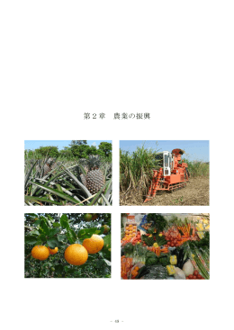 第2章 農業の振興 - 内閣府 沖縄総合事務局