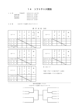 14 ソフトテニス競技