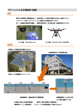 ドローンによる目視検査(空撮)