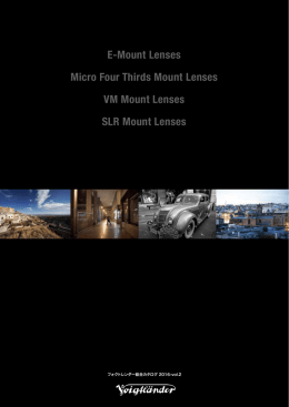 E -Mount Lenses