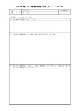 平成28年度 むつ市職員採用試験（社会人枠）エントリーシート