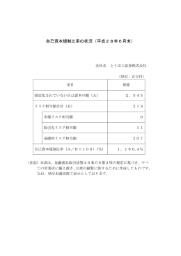 自己資本規制比率の状況（平成28年6月末）
