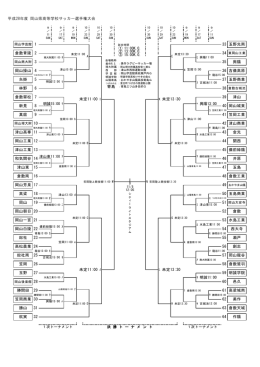 平成28年度 岡山県高校サッカー選手権大会 兼 第95回全国高校