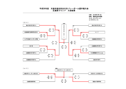 平成28年度 天皇杯皇后杯全日本バレーボール選手権大会 広島県