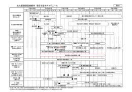 北大阪健康医療都市 項目別全体スケジュール
